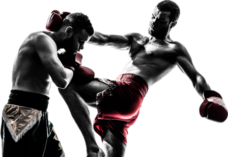 Mixed Martial Arts Fighters